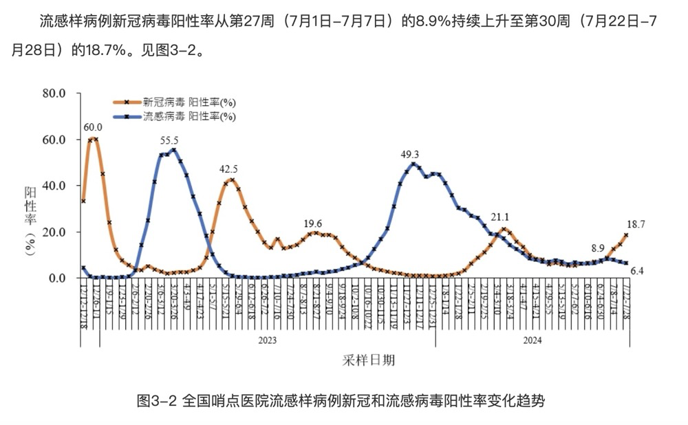 晨曦之光 第3页