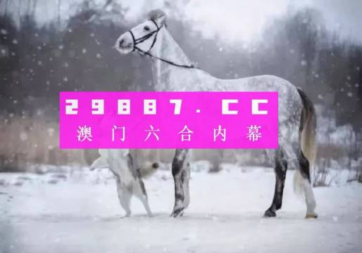 澳门正版一肖一码,动态词语解释落实_豪华版180.300