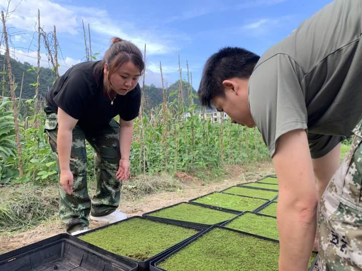 景宁畲族自治县数据和政务服务局领导团队概览