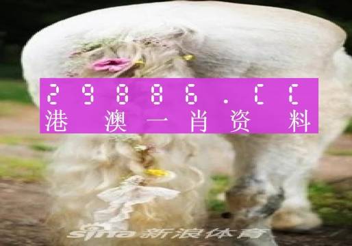 今晚必中一肖一码四不像,科学化方案实施探讨_精简版105.220