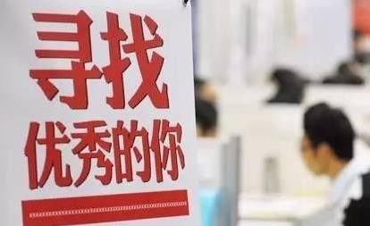 江干区人社局最新招聘信息深度解读