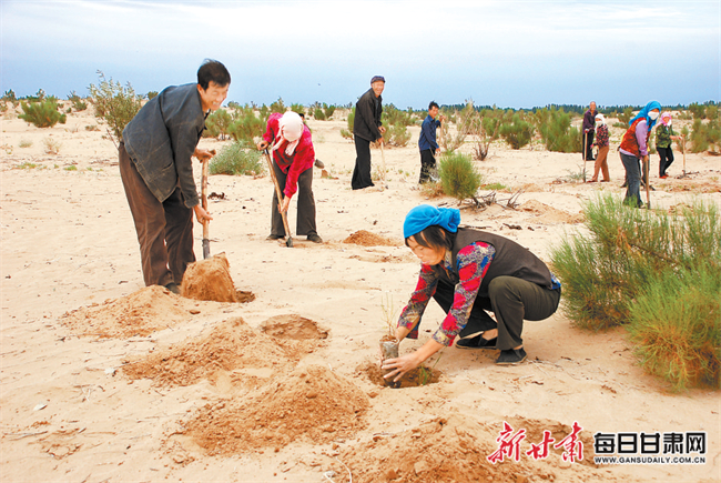 石羊河林业总场泉山分场最新资讯与动态概览