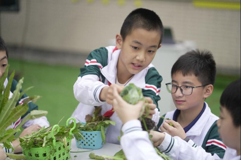 天台县小学创新项目引领教育未来，培育未来之星