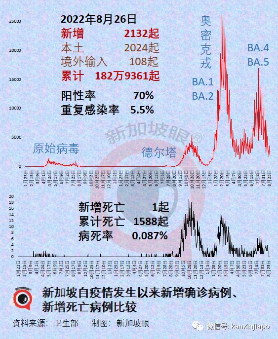 新冠病毒2024年最新消息,理论分析解析说明_NE版84.688